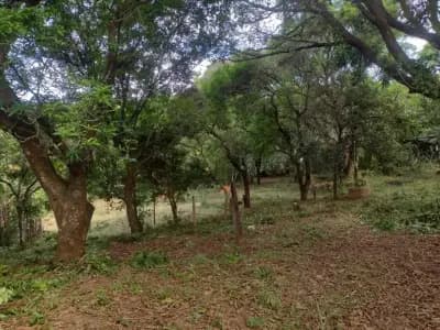 Imóvel em Angicos, Vespasiano - MG — foto 4